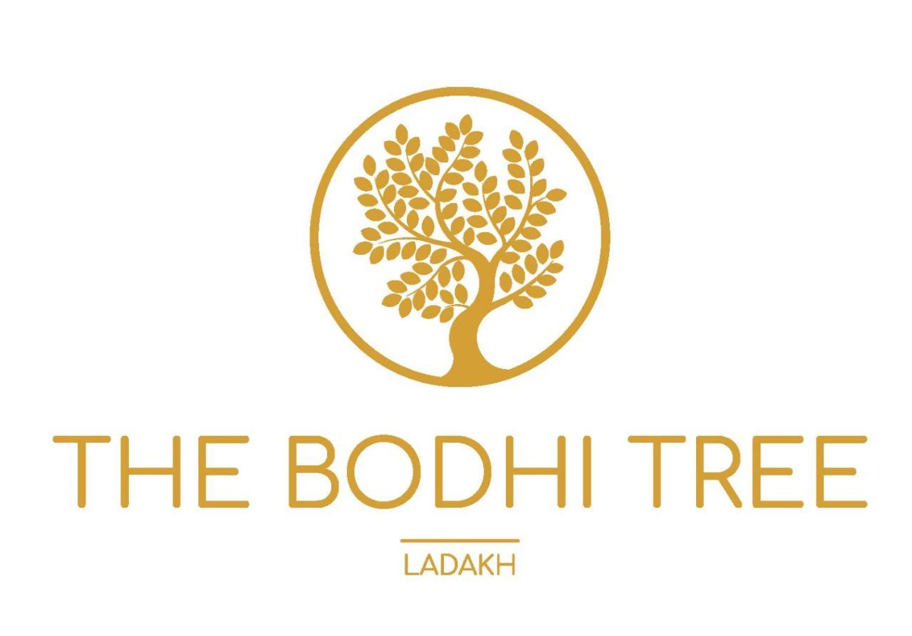 Hotel The Bodhi Tree Léh Exteriér fotografie